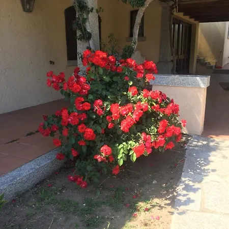 Villa Villa Brigante Santa Reparata